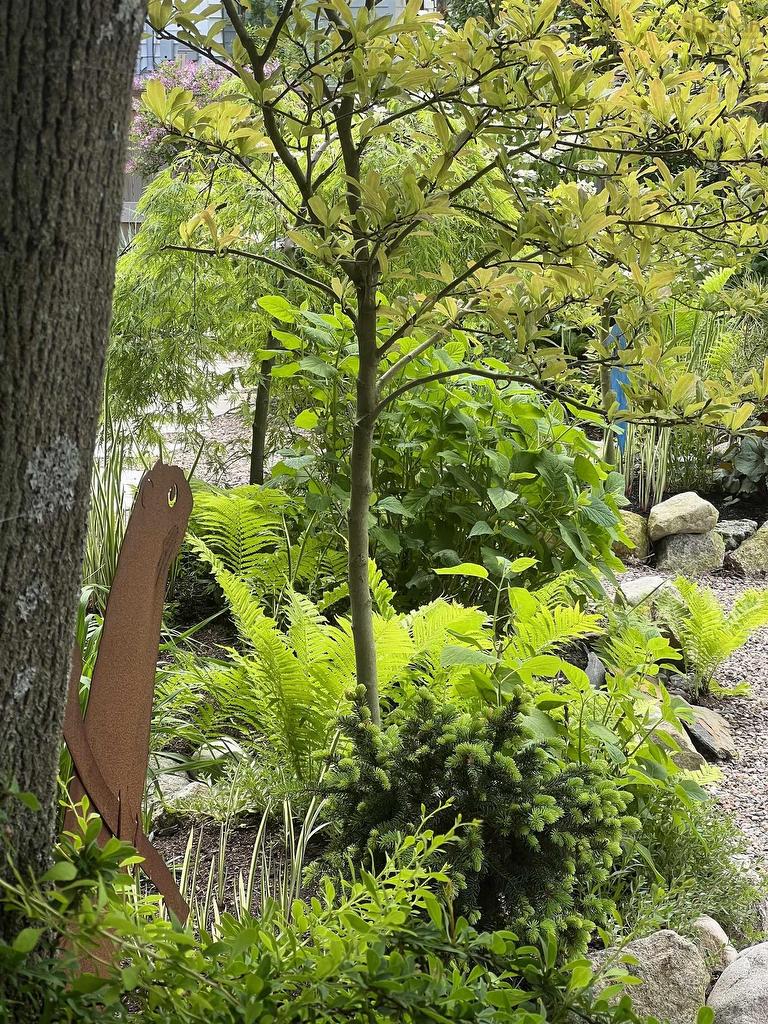 6968 Chebucto Road, Halifax, NS - Outdoor
