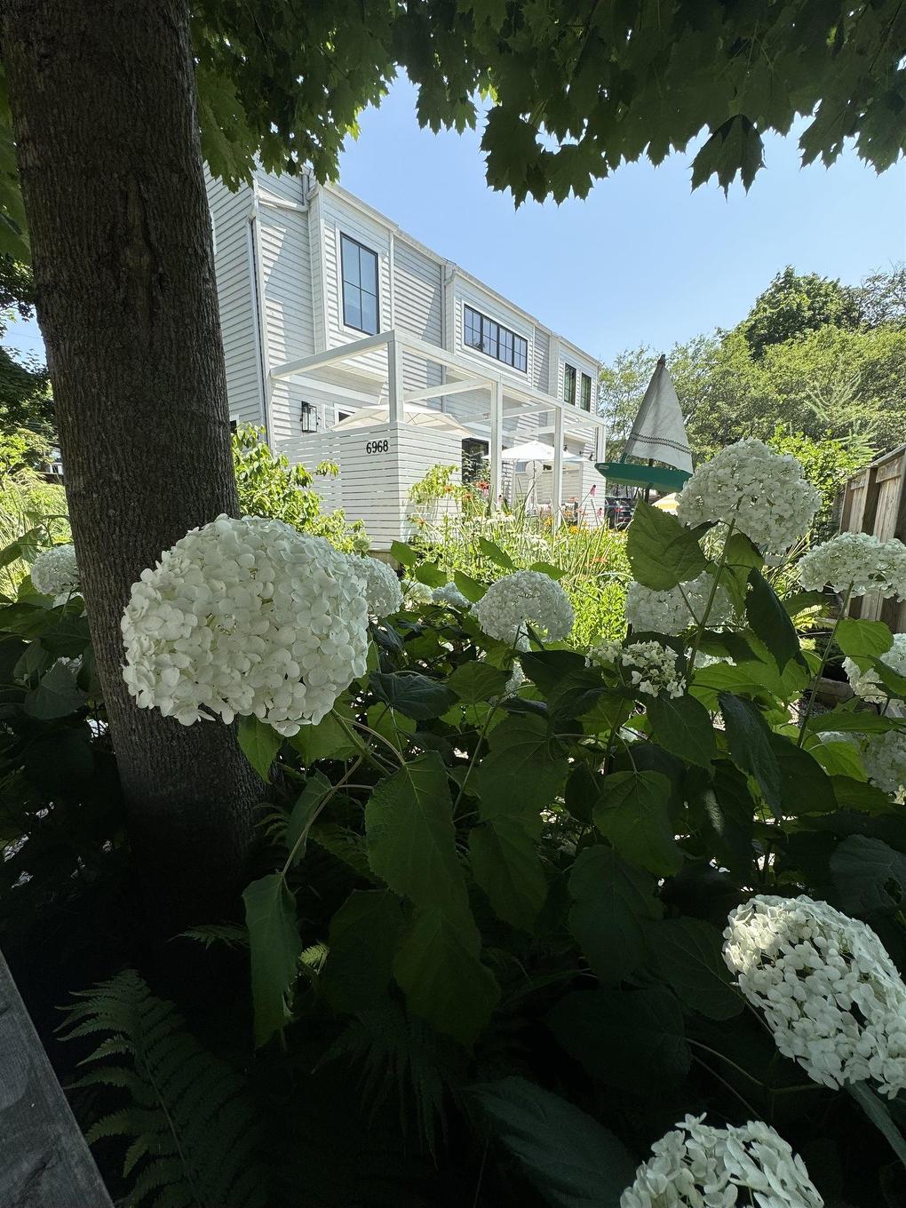 6968 Chebucto Road, Halifax, NS - Outdoor