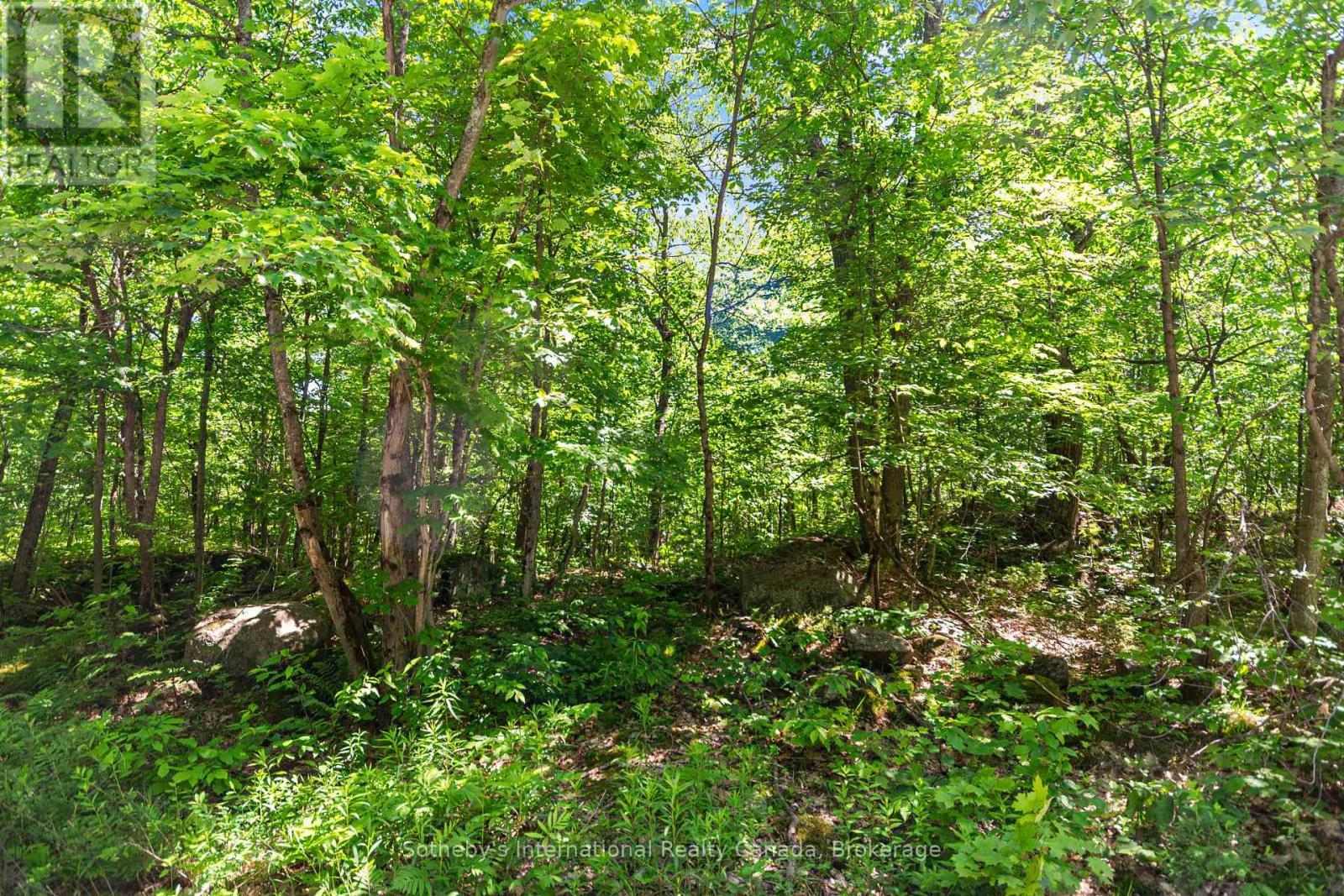 43 Burnside Bridge Road, Mcdougall, ON