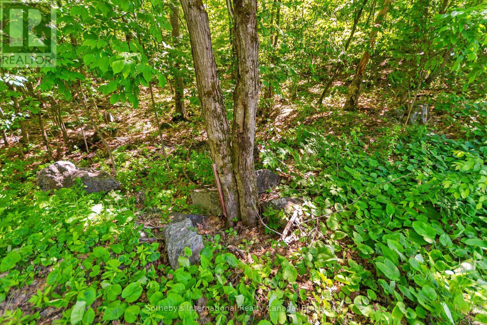 43 Burnside Bridge Road, Mcdougall, ON