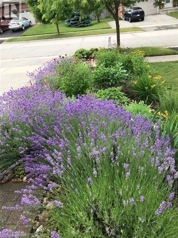 212 Sleaford Street, Waterloo, ON