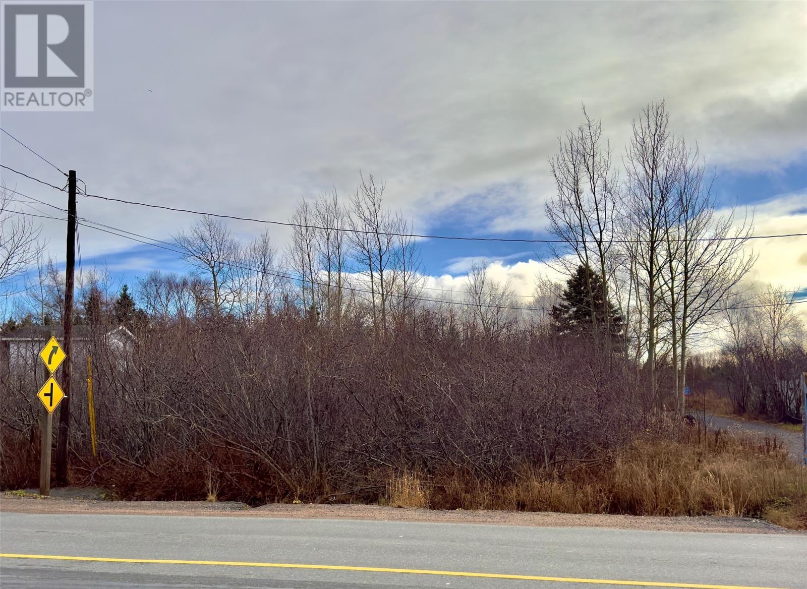 298 Trinity Drive, George'S Brook - Milton, NL