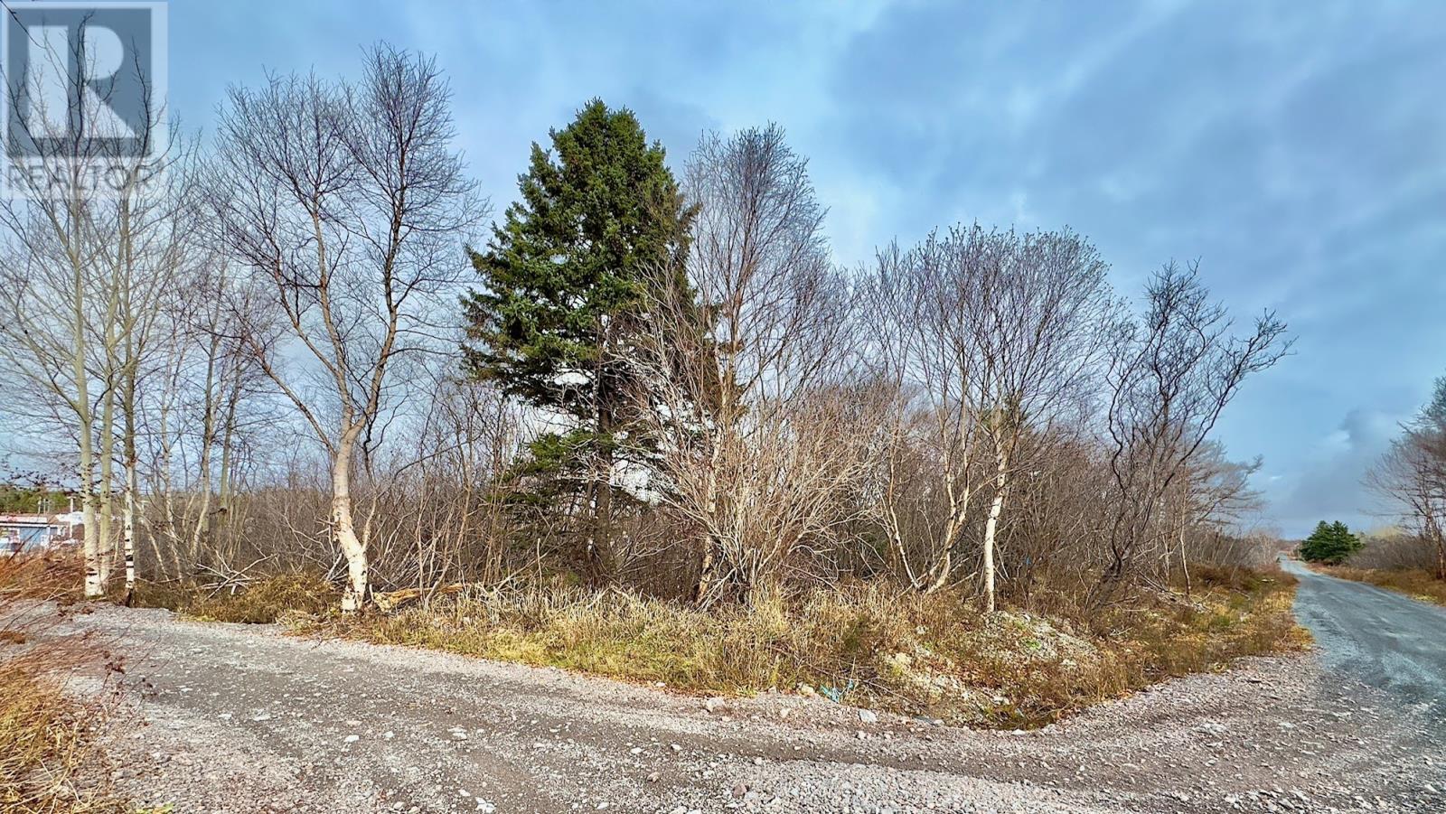 298 Trinity Drive, George'S Brook - Milton, NL