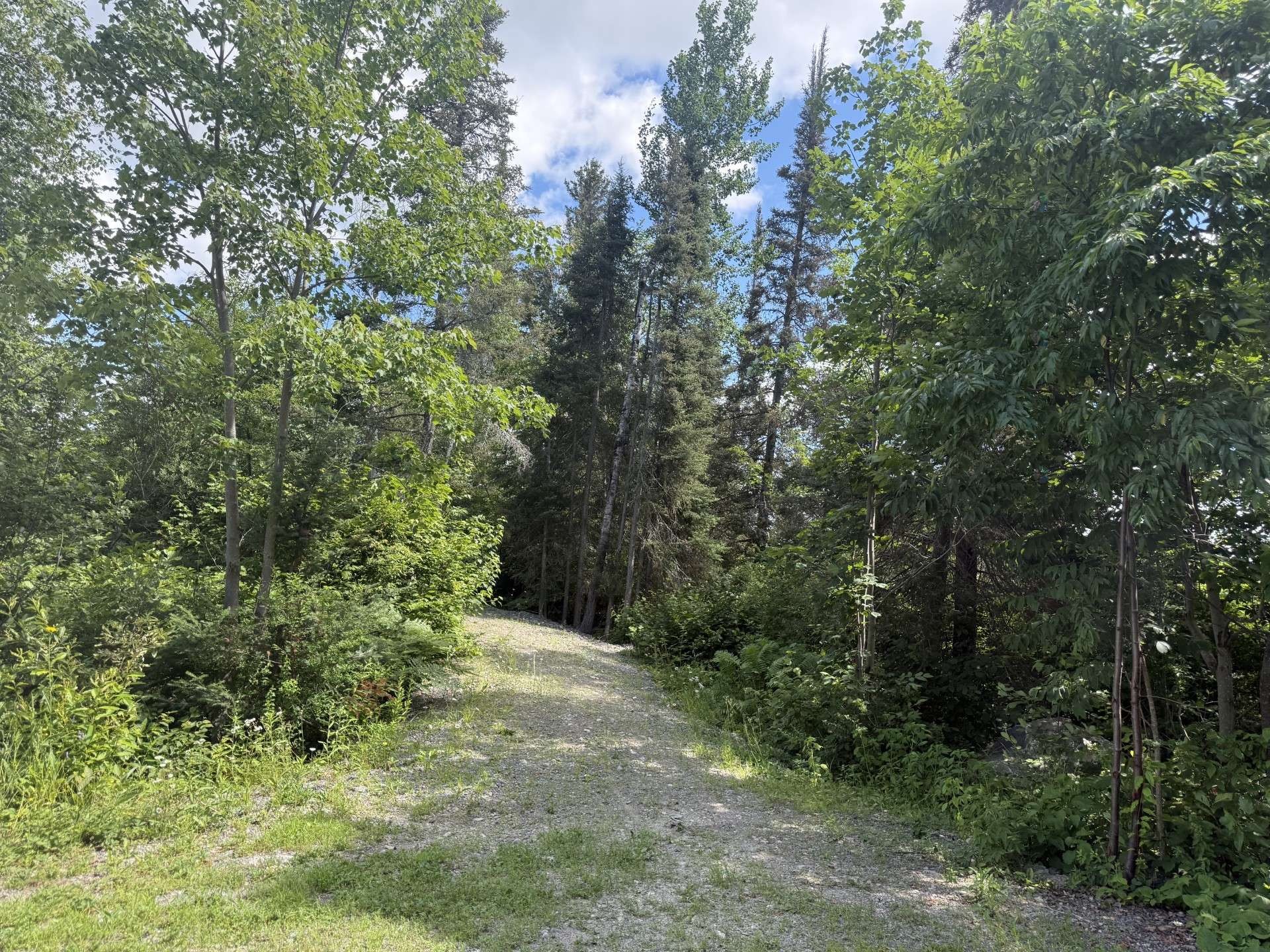 Lot - Ch. Du Lac-Cameron, Saint-Eugène-De-Guigues, QC