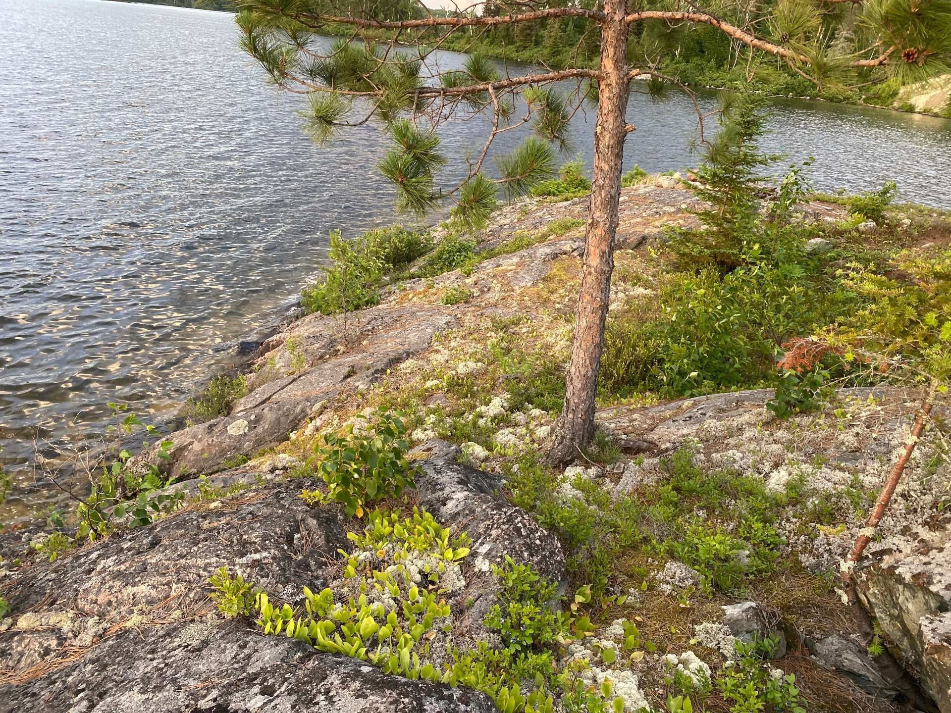 Water view - Ch. Du Lac-Cameron, Saint-Eugène-De-Guigues, QC