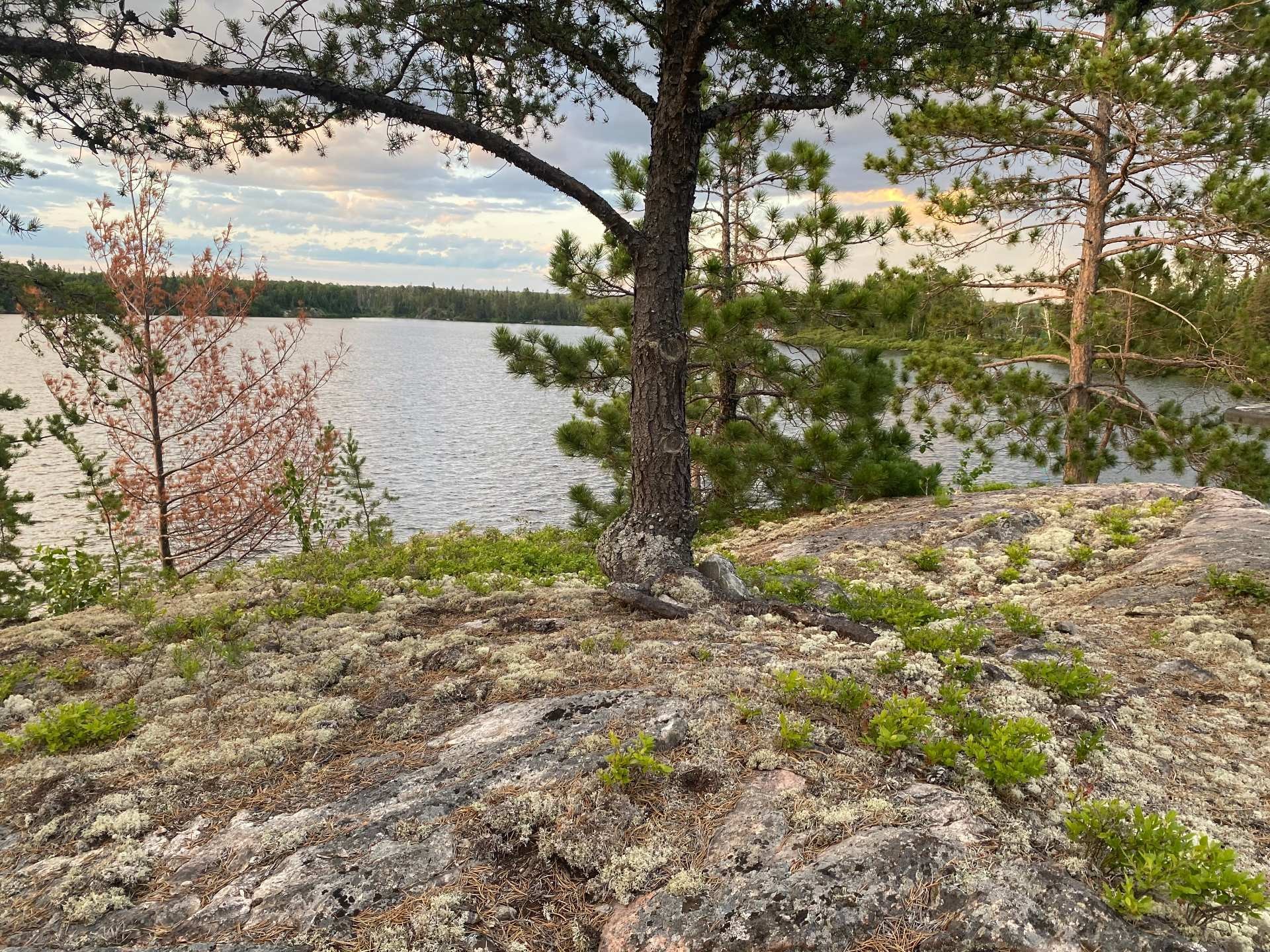 Water view - Ch. Du Lac-Cameron, Saint-Eugène-De-Guigues, QC