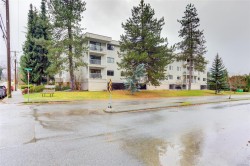 #206-18 King George St Lake Cowichan, BC V0R 2G0