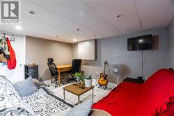 lower level living room -