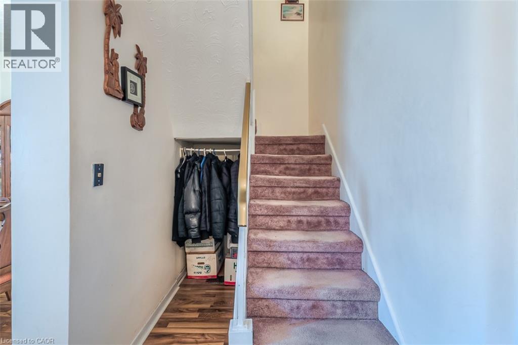 Carpeted staircase with white balustrade leading to an upper level - 41 Springhurst Avenue, Toronto, ON