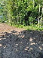 3365 ARMAND AVENUE Severn, ON L0K 2B0
