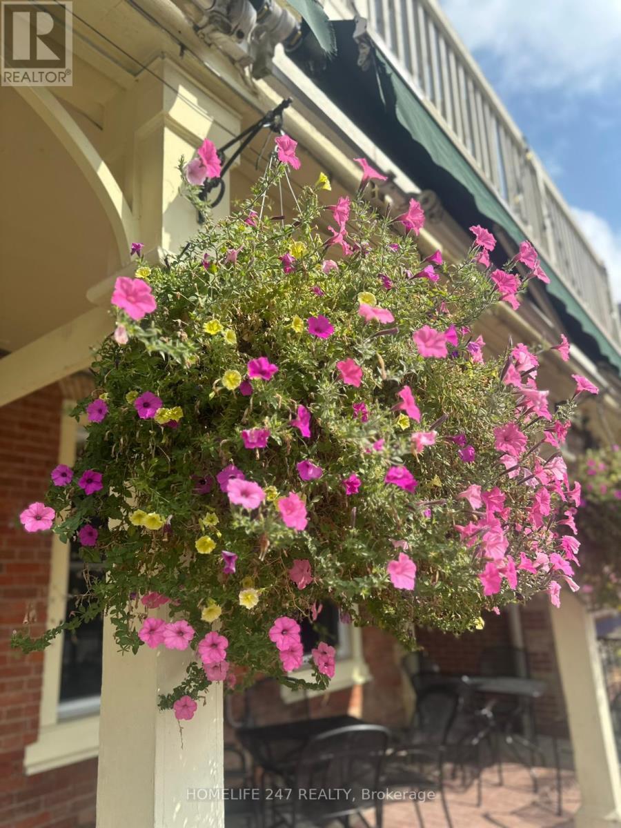 263 Queen Street S, Mississauga, ON