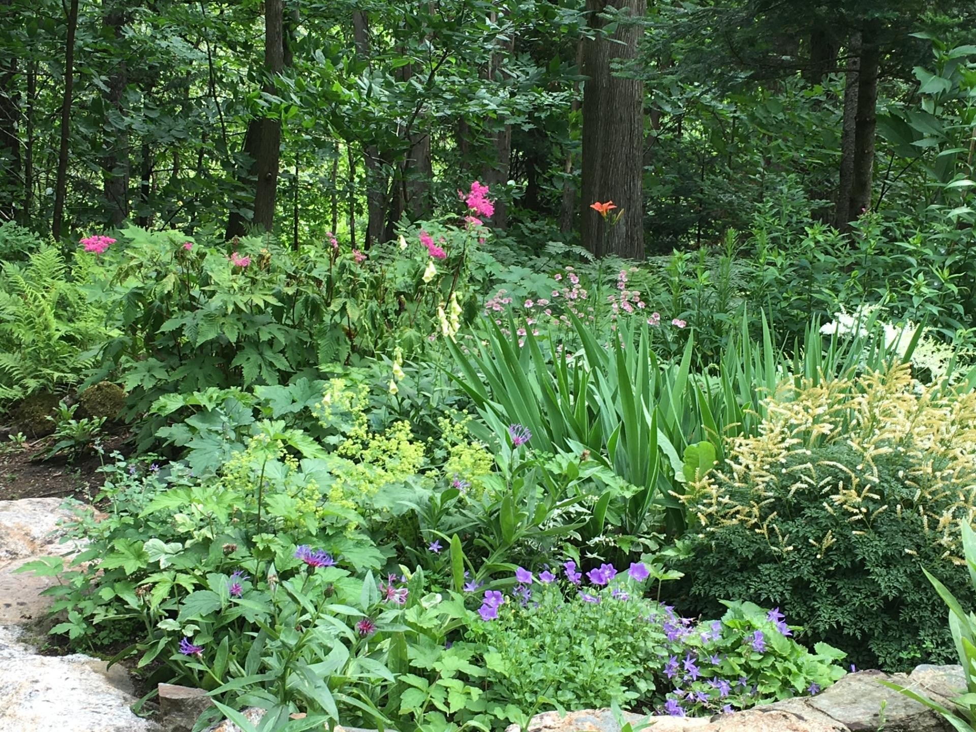 Courtyard - 995 4E Rang, Saint-Calixte, QC - Outdoor