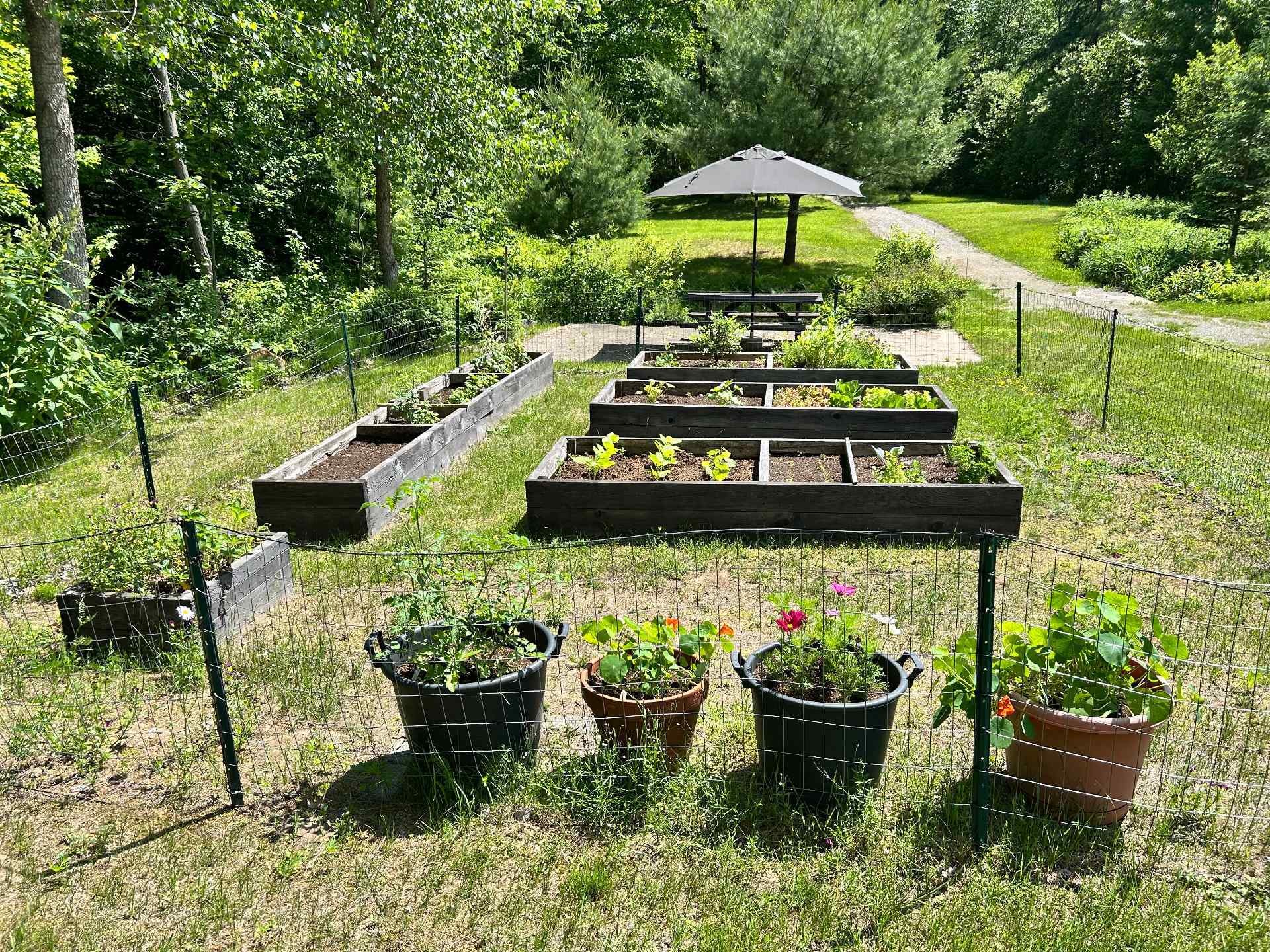 Garden - 995 4E Rang, Saint-Calixte, QC - Outdoor