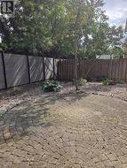 Most plants pruned back for winter. -