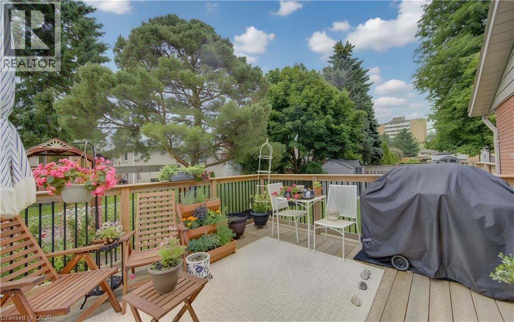 Expansive wood-finish deck featuring a full railing system and a backdrop of mature trees - 127 Strathcona Crescent, Kitchener, ON