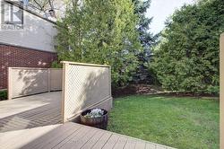 Backyard -