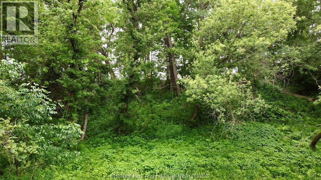 0 River Line, Chatham-Kent, ON