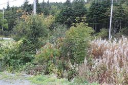 235-241 Beachy Cove Road Portugal Cove-St. Philip's, NL A1M 1Z4