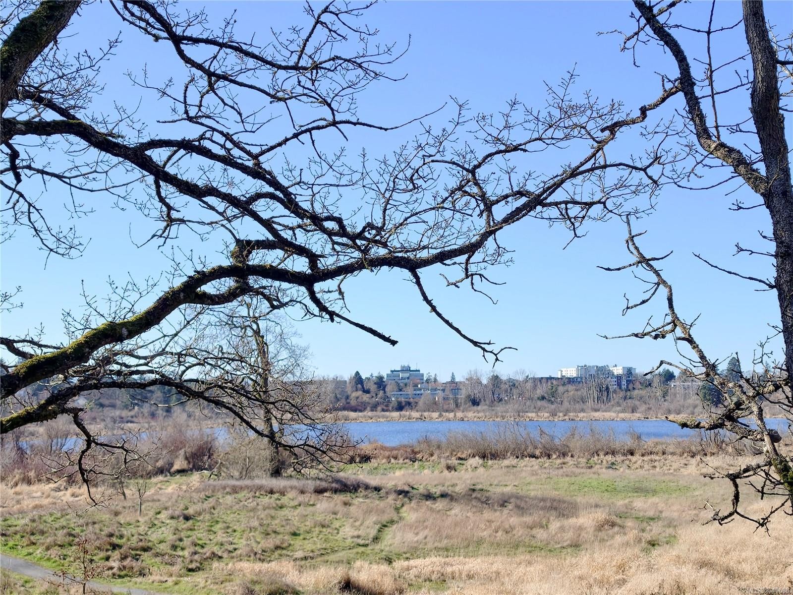 3933 Saanich Rd, Saanich, BC