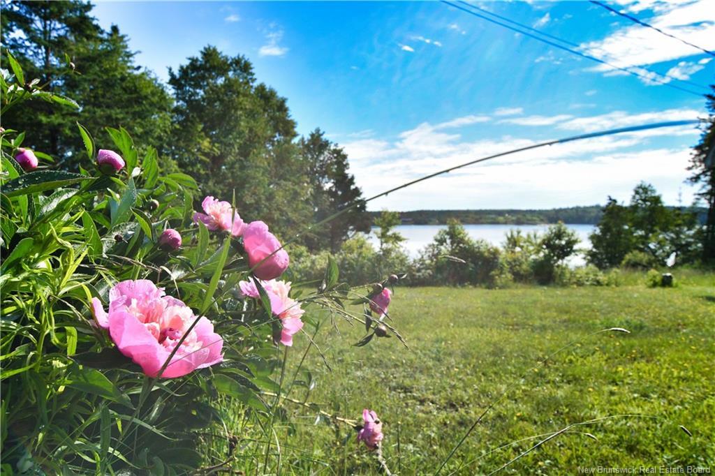 901 North Rd, Welshpool, NB