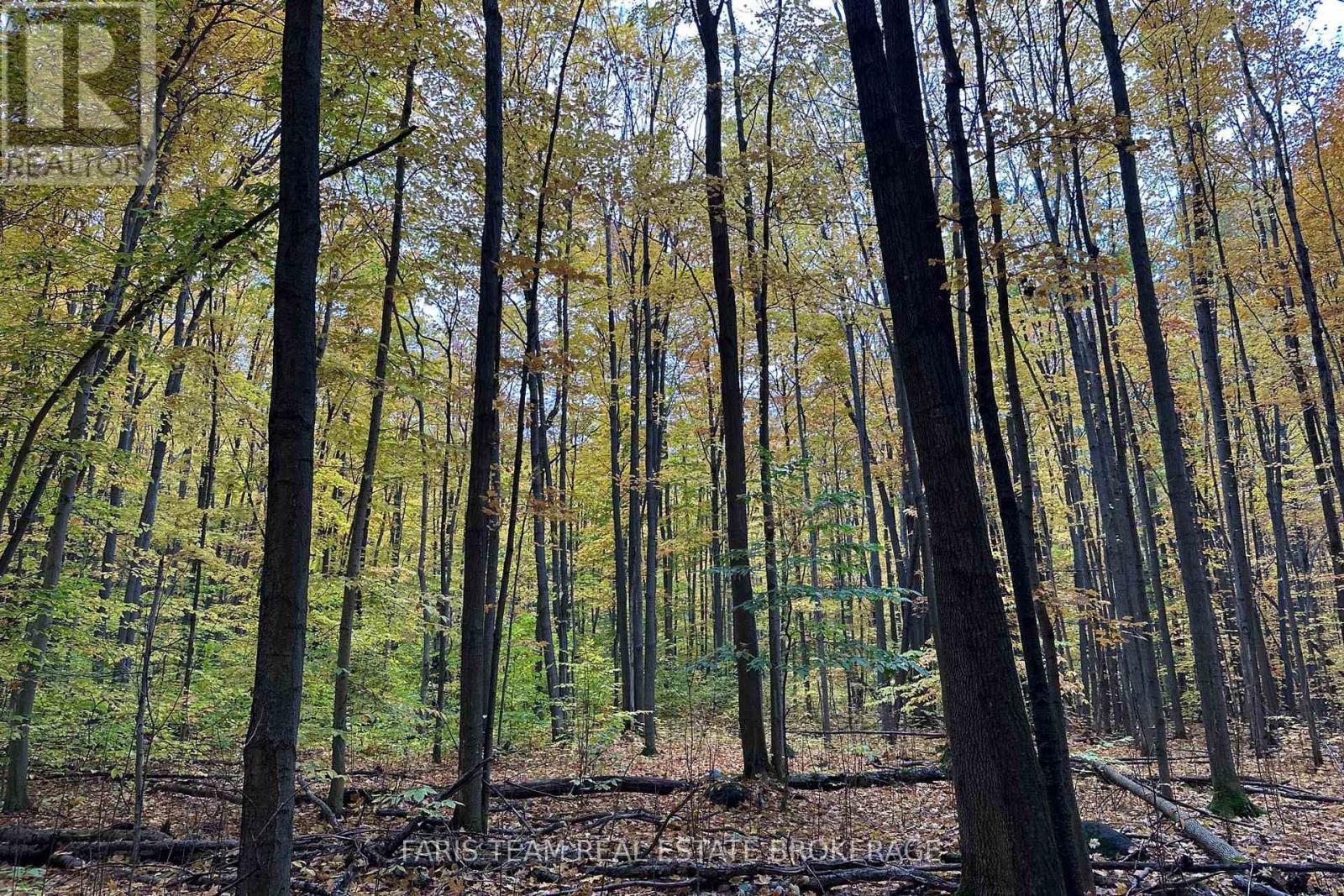 418 Concession 13 Road E, Tiny, ON