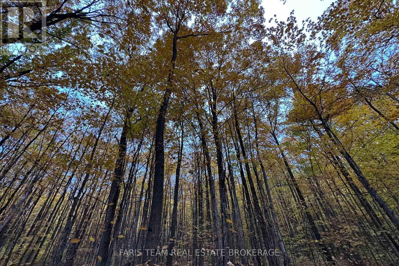 418 Concession 13 Road E, Tiny, ON
