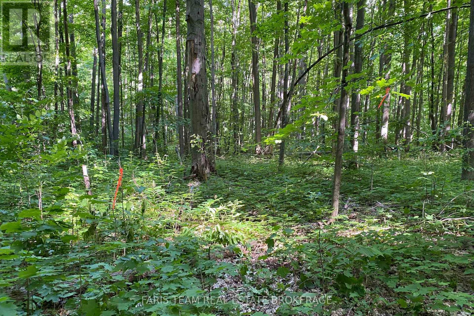 418 Concession 13 Road E, Tiny, ON