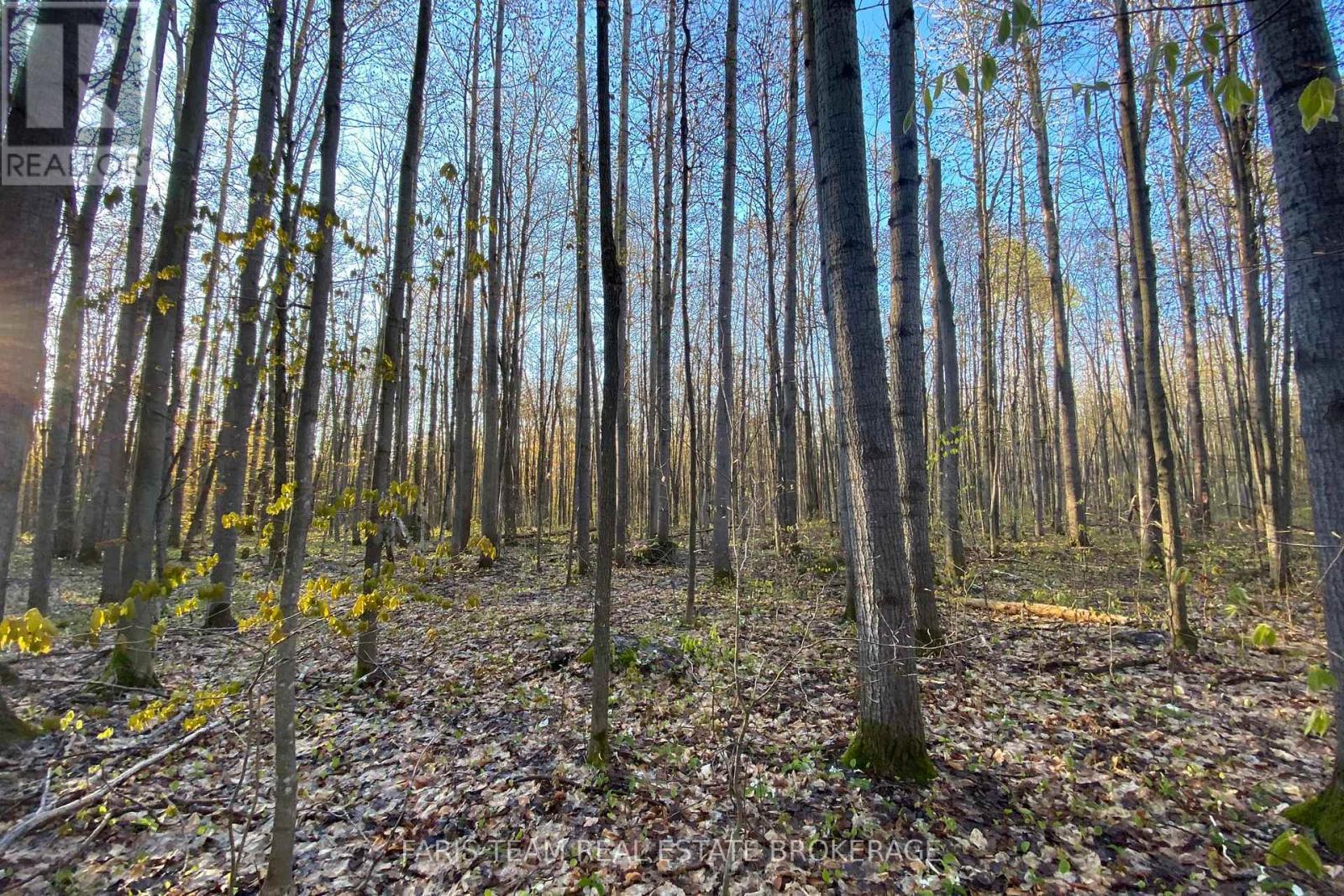 418 Concession 13 Road E, Tiny, ON