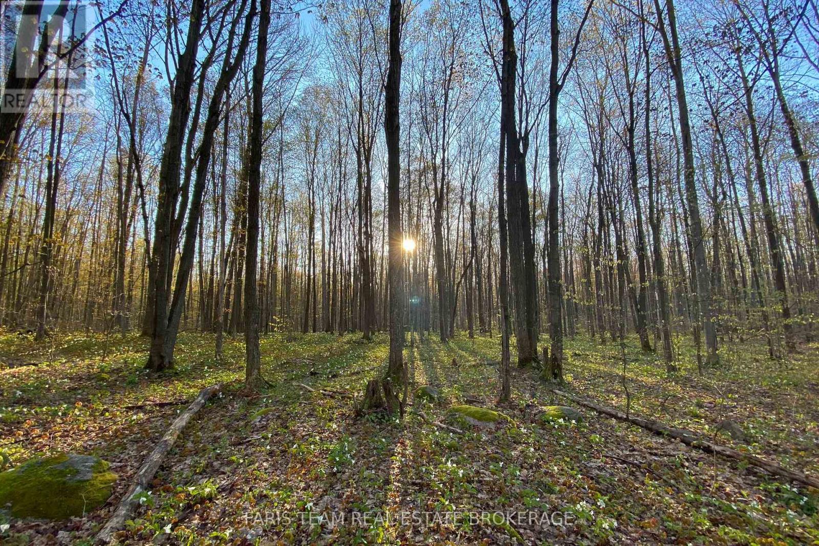 418 Concession 13 Road E, Tiny, ON
