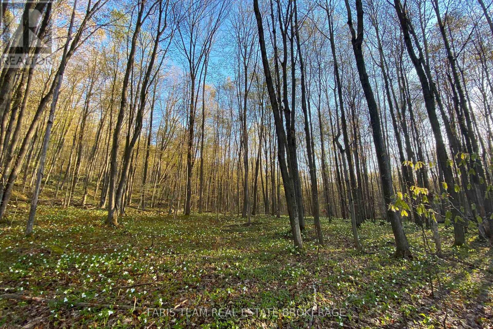 418 Concession 13 Road E, Tiny, ON