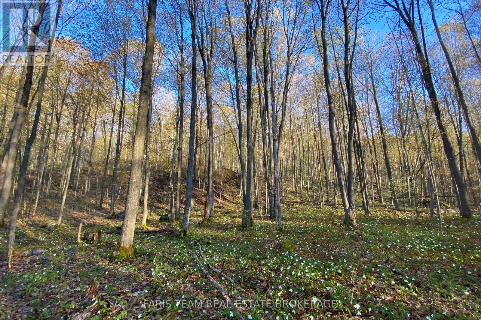 418 Concession 13 Road E, Tiny, ON