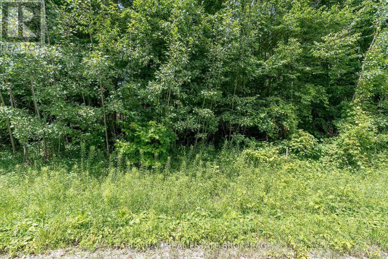 418 Concession 13 Road E, Tiny, ON