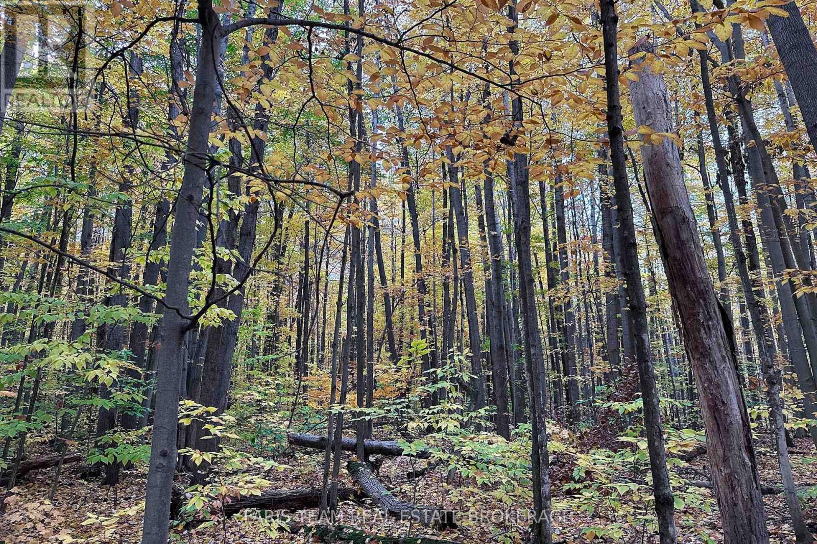 418 Concession 13 Road E, Tiny, ON