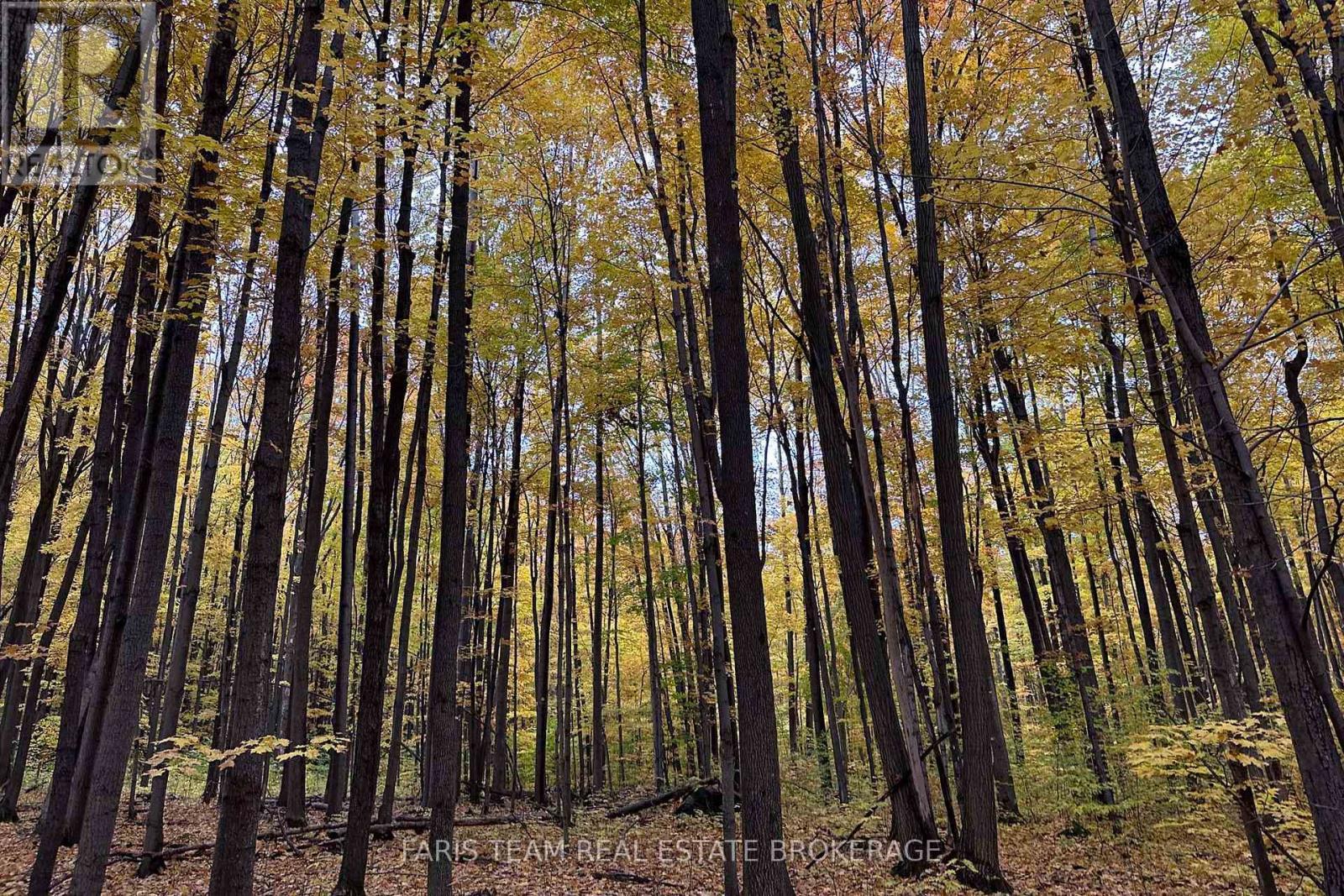418 Concession 13 Road E, Tiny, ON