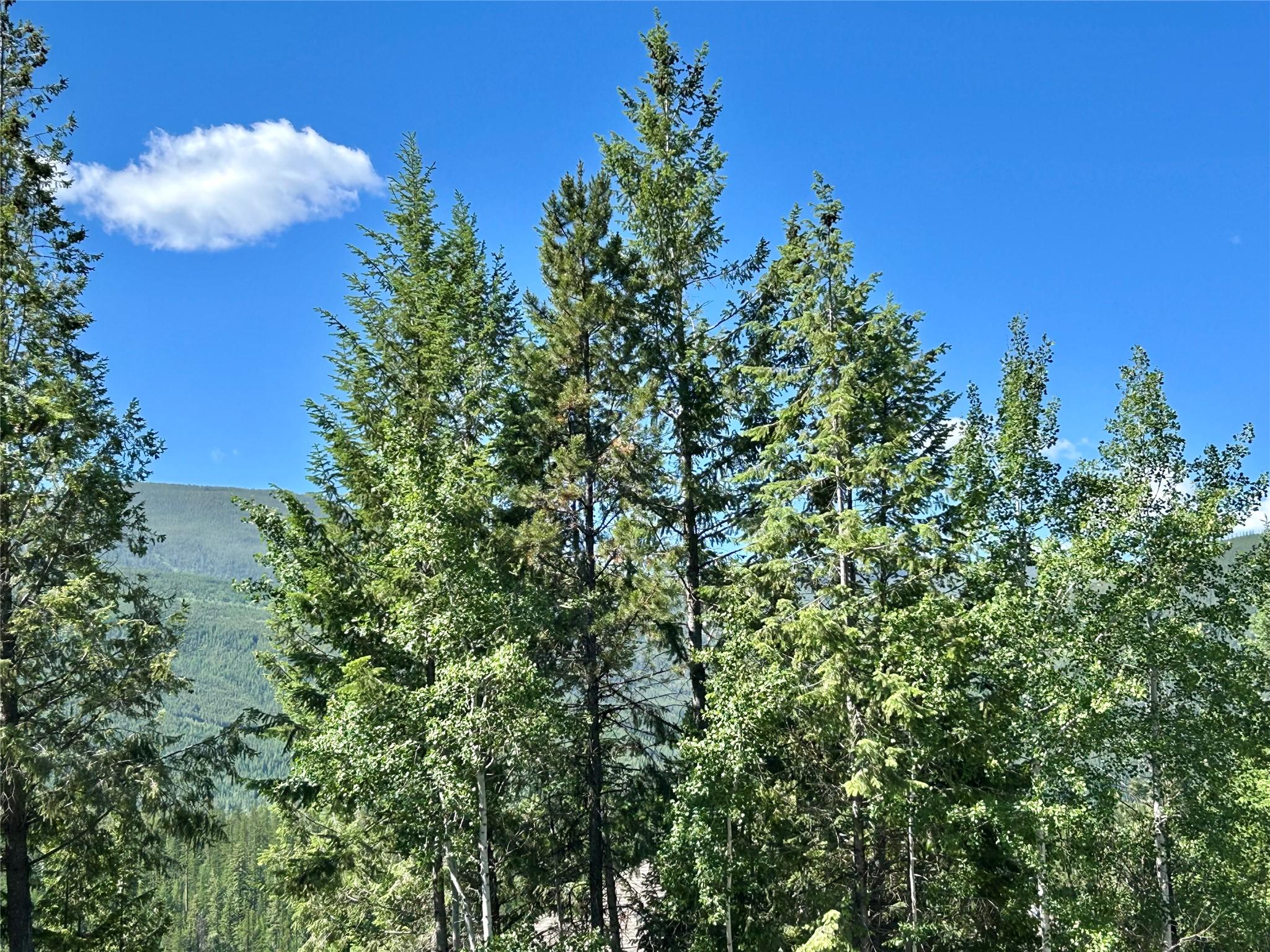 118 Sunflower Drive, Kimberley, BC
