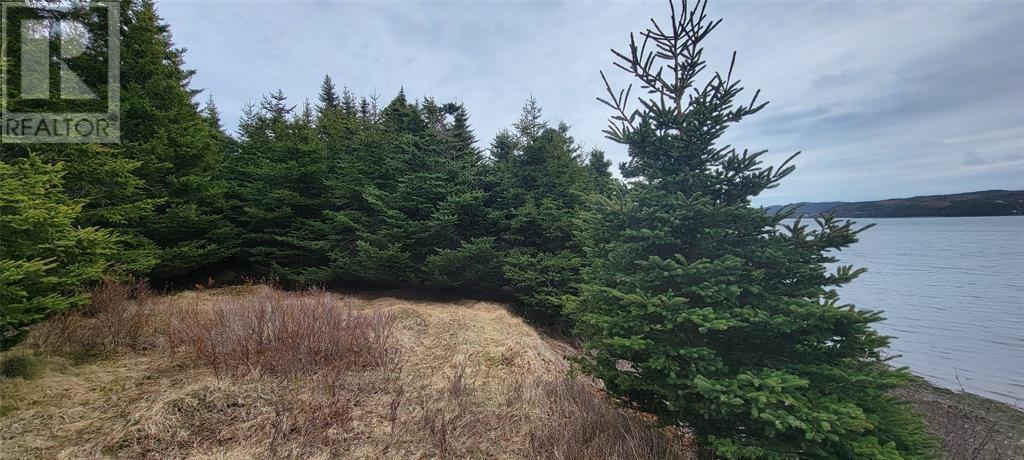 7A Green'S Road, Burin Bay Arm, NL