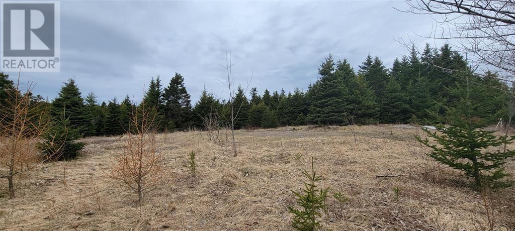 7A Green'S Road, Burin Bay Arm, NL