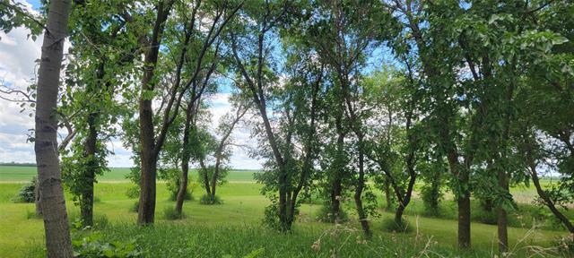 7087 22 Rd, Morris, MB