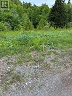 00 Drury Cove Road Saint John, NB E2H 0B2