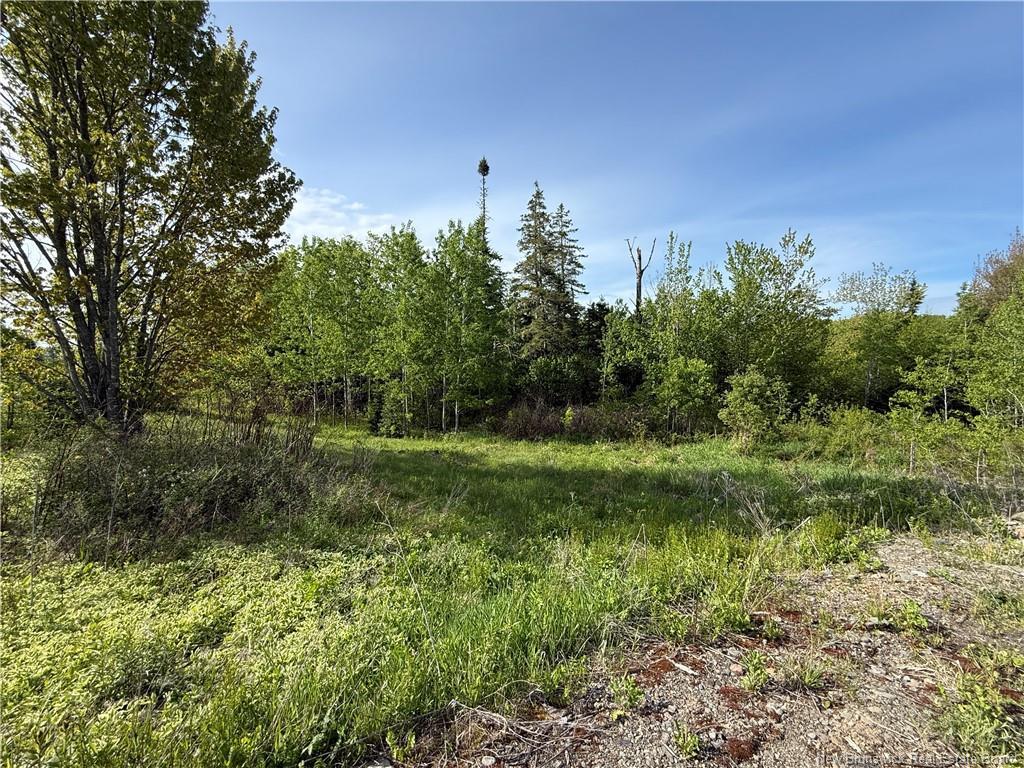 926 575 Rte, Pole Hill, NB