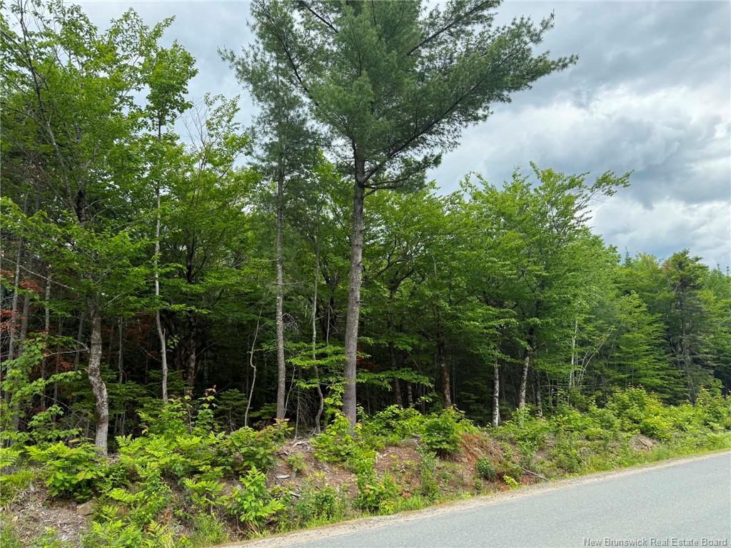 Lot 4 Hansen Rd, Miramichi, NB