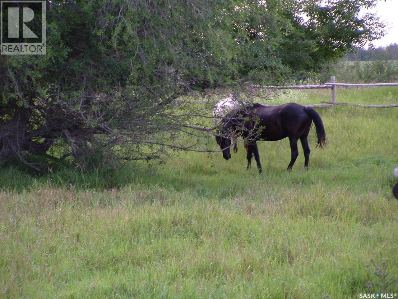 Hepburn Acres, Laird Rm No. 404, SK