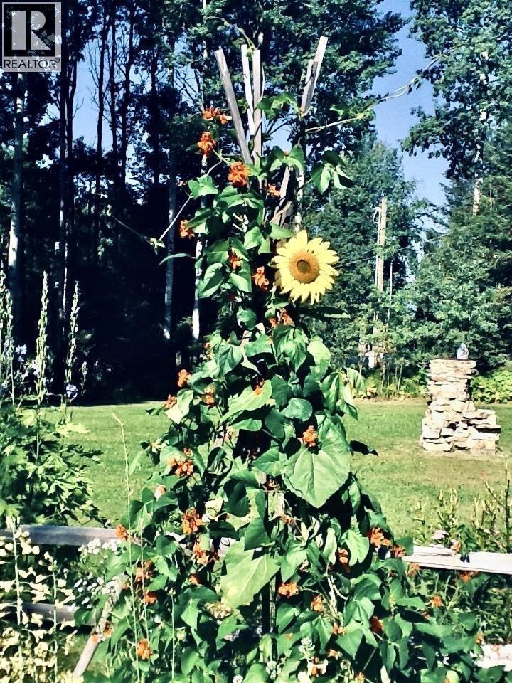 310 Mountain View Road, Mcbride, BC