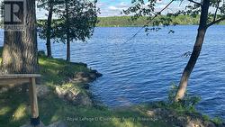 shallow sandy entry for swimming -