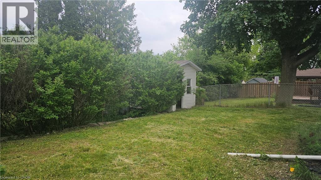 Expansive backyard featuring a partial chain-link fence, mature trees, and a detached shed with vertical siding - 58 Belwood Crescent, Kitchener, ON