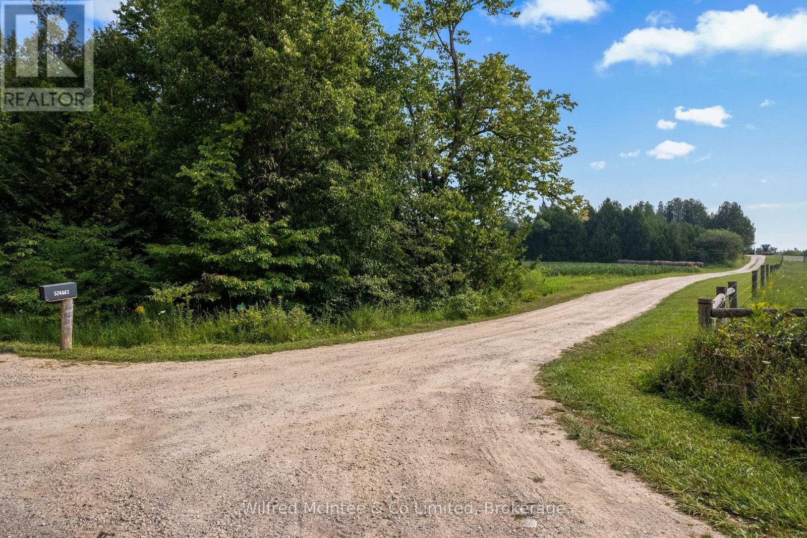 Privacy from the road - 574461 Sideroad 40, West Grey, ON