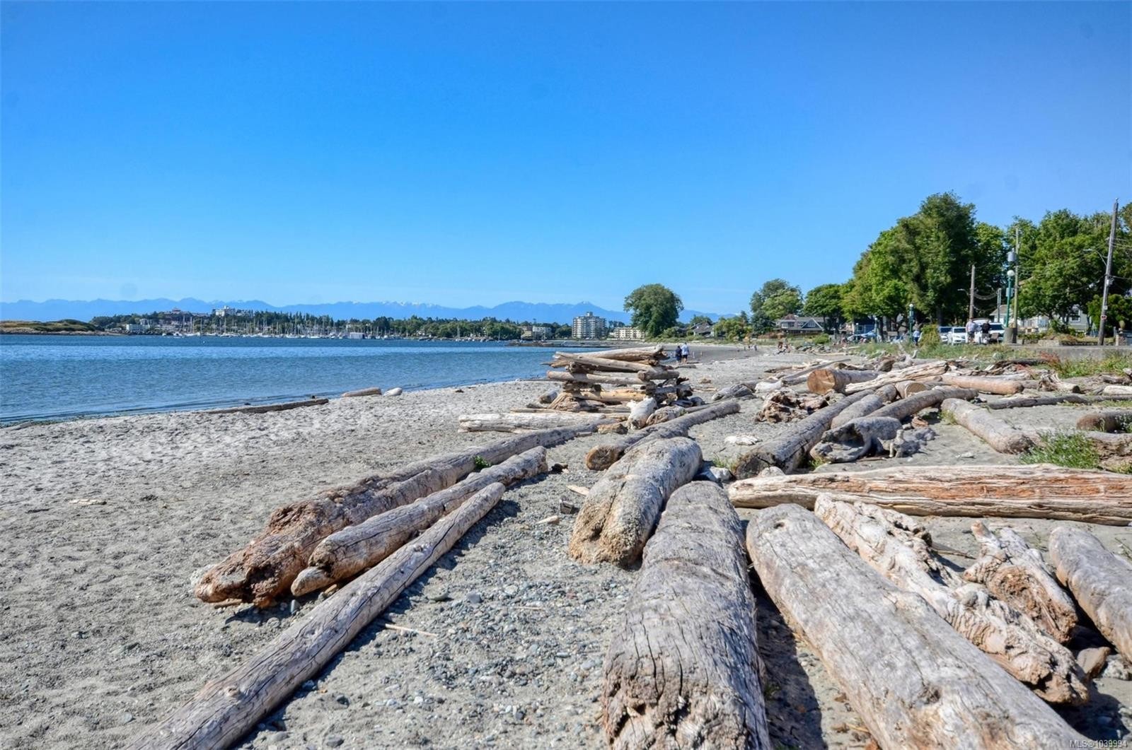 2331 Pacific Ave, Oak Bay, BC
