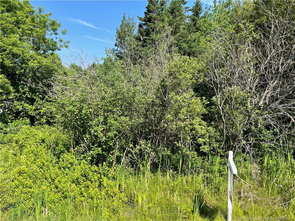 Lot 2 Communication Rd, Irishtown, NB