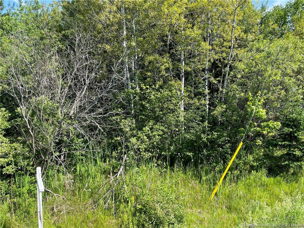Lot 2 Communication Rd, Irishtown, NB