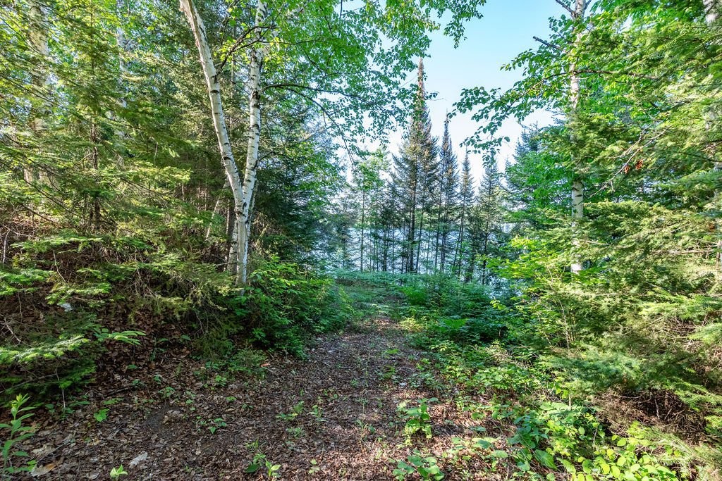 Water access - 28 Ch. Mitchell, Otter Lake, QC